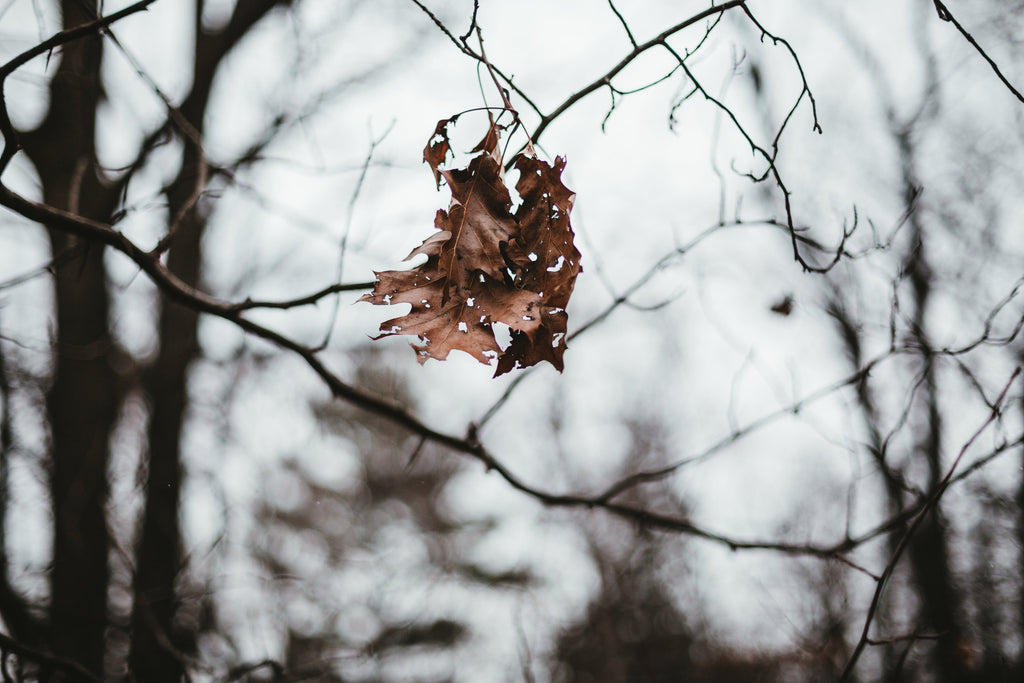 hej november